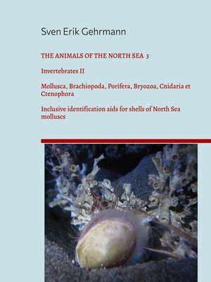 cover image of Invertebrates II